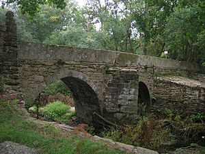 Ponte Vella de Martiñán.jpg