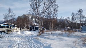 Modern buildings at Reindeer Station