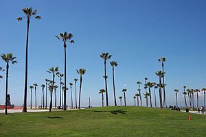 Santa Monica Beach 4