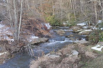 Shawneehaw Creek in Banner Elk.jpg