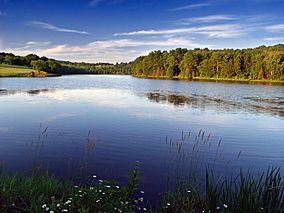 Stephen Foster Lake (2).jpg