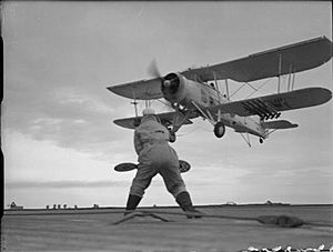 Swordfish landing on HMS Tracker WWII IWM A 19718