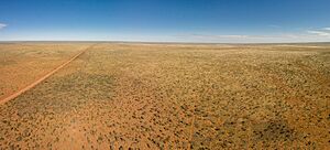 Tanami Desert Panorama