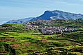 Terraced farming- Kodaikanal