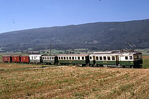 Trains du Bière-Apples-Morges (6)