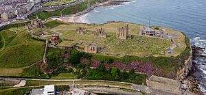 Tynemouth Priory Aerial