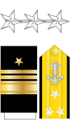 US Navy O9 insignia