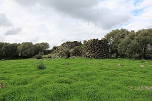 Villanova Truschedu - Nuraghe Santa Barbara (49)