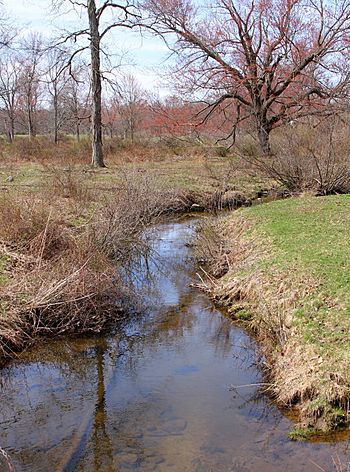 Walker Run looking downstream 1.JPG