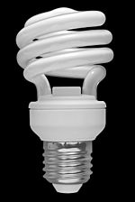 02 Spiral CFL Bulb 2010-03-08 (black back)