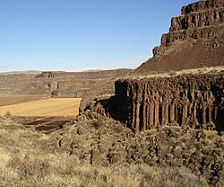 3-Devils-grade-Moses-Coulee-Cattle-Feed-Lot-PB110016