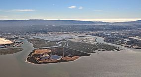 Bair Island aerial.jpg