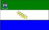 Flag of Santa Bárbara