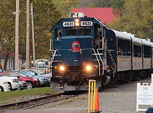 Blue Ridge Scenic Railway train