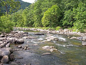 Bluestone River Pipestem.jpg