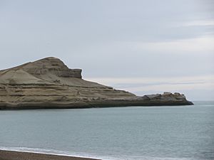 Cabeza de Leon Parque Nacional Monte Leon Santa Cruz Argentina