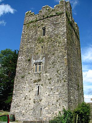 Clara Castle - geograph.org.uk - 494292