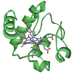 Cytochrome c