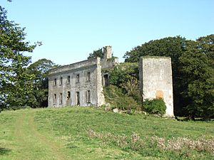 Dangan Castle, Near Summerhill, Co. Meath - geograph.org.uk - 987176