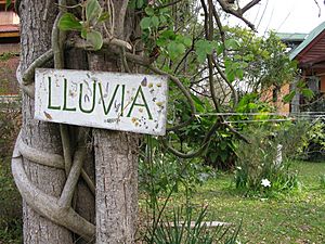 Delta del Paraná Sign