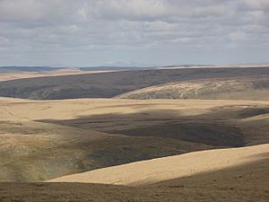 Desert of wales from Drygarn Fawr