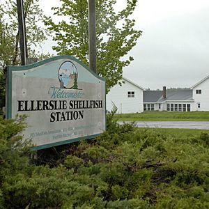 Ellerslie PE ShellfishStation 2013