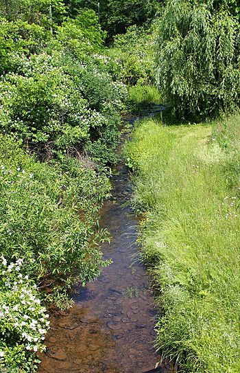 Fades Creek looking upstream.JPG