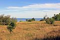 Gfp-wisconsin-rock-island-state-park-landscape-and-lake