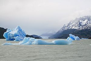 Glaciar Grey, Parque Nacional Torres del Paine, Chile4