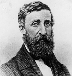 Henry David Thoreau 2