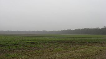 Hubele Mounds and Village Site.jpg