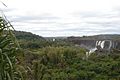 Iguazu National Park-109980