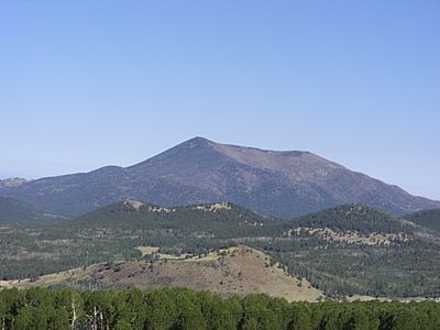 Kendrick Peak