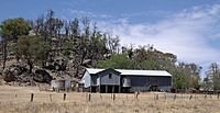 Kyeamba - Shearing Shed