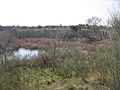 Lagunas de Perales