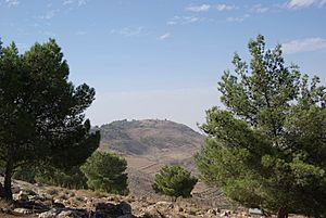 Mount Nebo BW 6