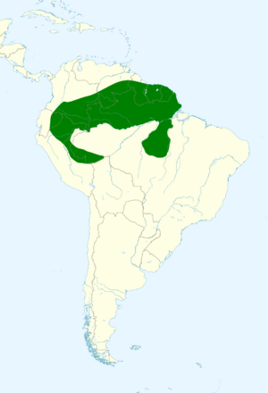 Phaethornis bourcieri map.svg