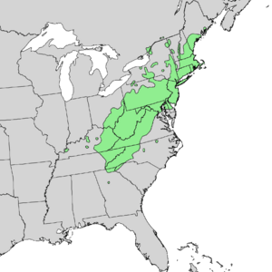 Pinus rigida range map.png