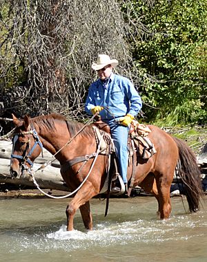 Prince Albert II on horseback