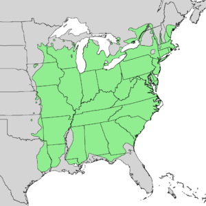 Quercus alba range map 1.png