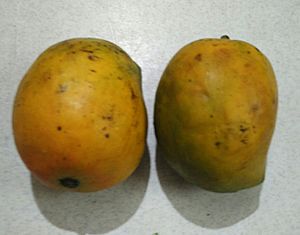 Raspuri Mangoes.jpg