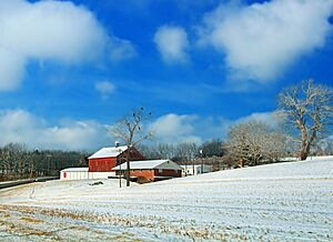 Red Barn