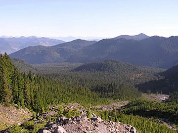 Schriebers Meadow Cone.jpg