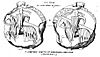 Segell-alfons-II-1209-comte-provença.jpg