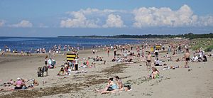 Severodvinsk Yagry Island Beach