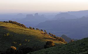 Simien Mountains.jpg