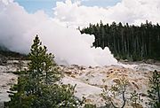 Steamboat Geyser