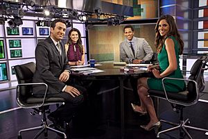 The Cycle (TV program), Ari Melber, Krystal Ball, Touré, Abby Huntsman-2013