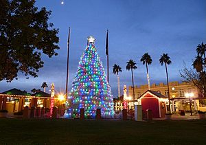 Tumbleweed Christmas Tree Chandler Arizona