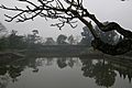 Vietnam, Hue, Imperial City of Hue, Moat